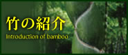 竹の紹介